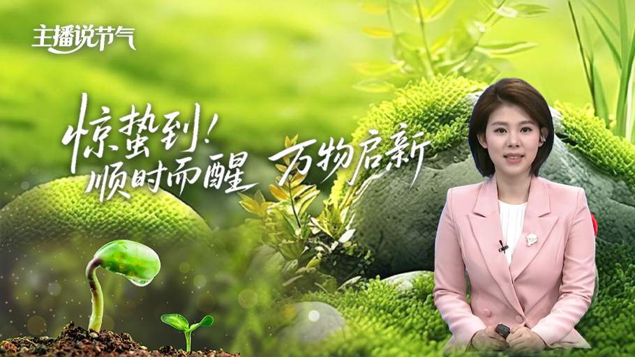 主播说节气丨惊蛰到 顺时而醒 万物启新