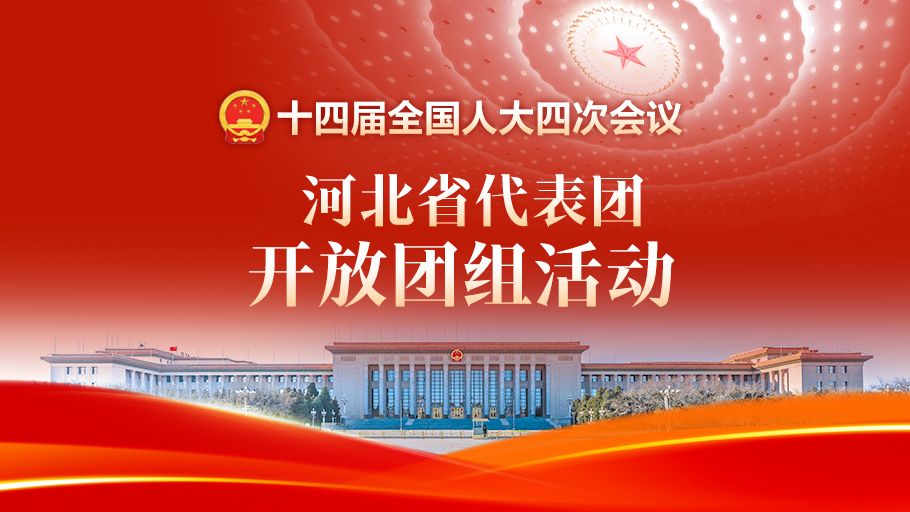 【图文直播】河北省代表团举行开放团组活动