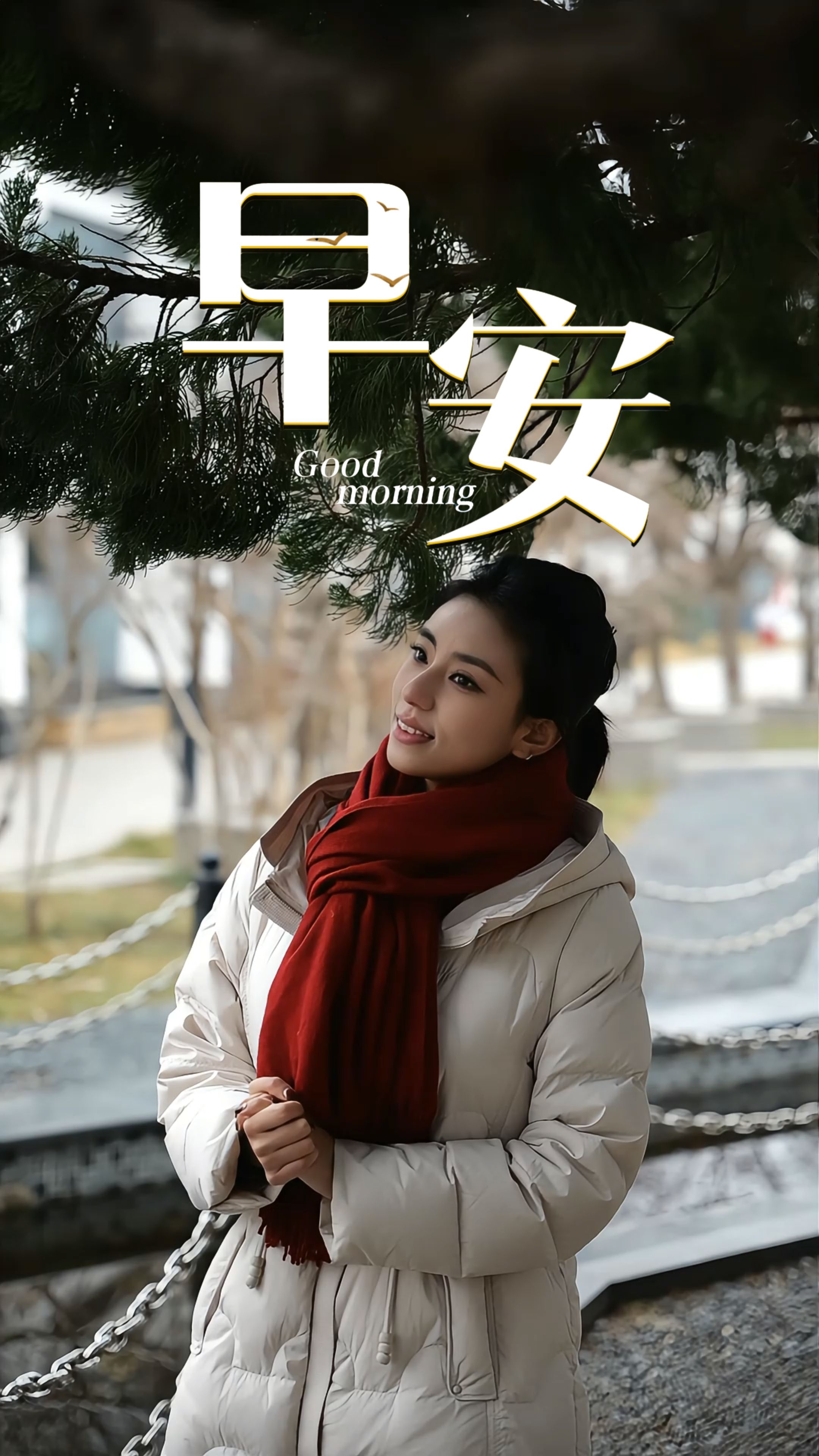 2026年3月8日，早安！今天是“三八”国际劳动妇女节。从古赵秦罗敷的温婉，到戎冠秀的仁厚；从郭隆真的坚贞，到当代女性的担当。她们以温柔为骨，以坚韧为翼，在时光里绽放，在岁月中闪光。愿你做不被定义的自己，自在、从容、向阳而生！