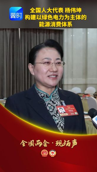 【全国两会·现场声】全国人大代表 杨伟坤：构建以绿色电力为主体的能源消费体系