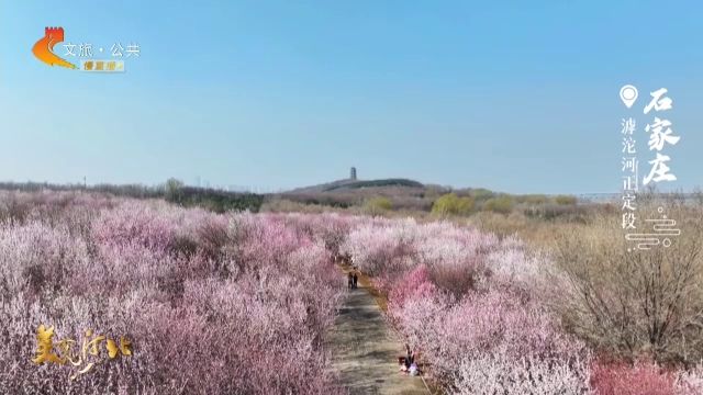 美丽河北慢直播丨2026.03.13 正午