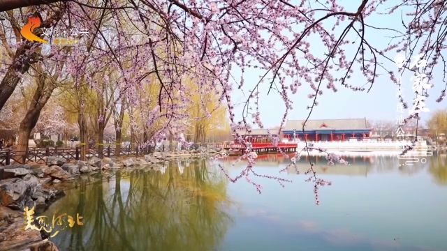 美丽河北慢直播丨2026.03.15 清晨