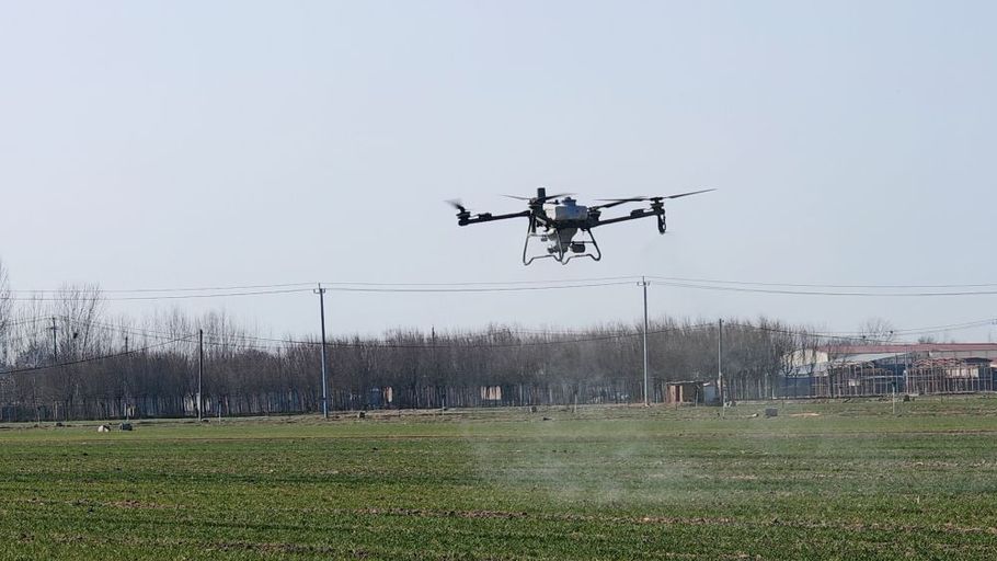 河北：科技护航小麦返青