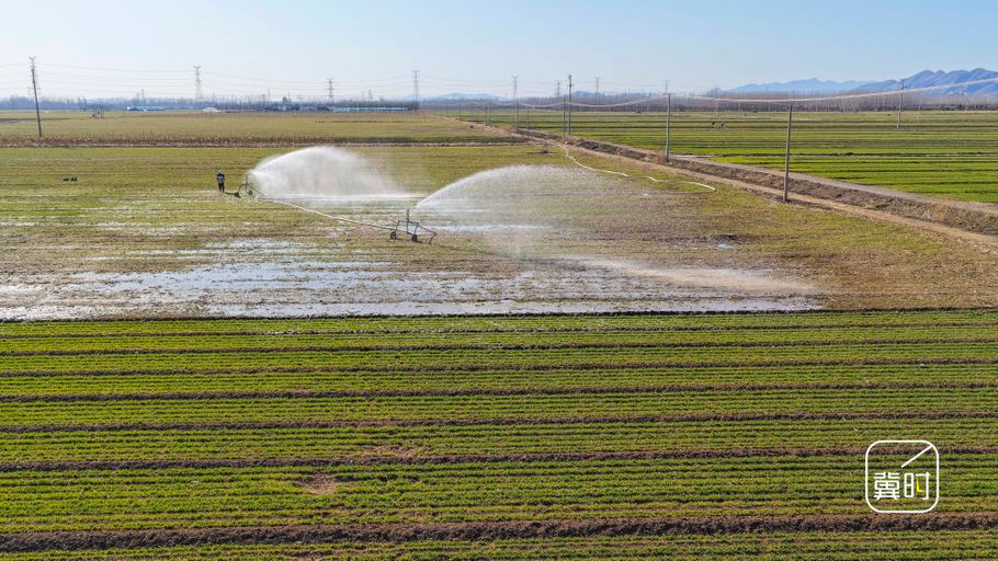 唐山遵化：“春分”将至农事忙