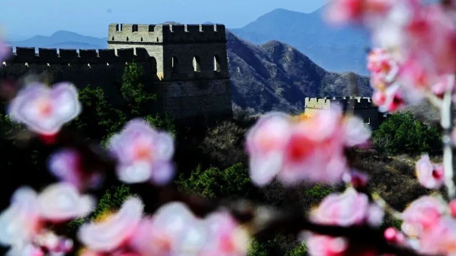 长城卧花海！万里长城最美的一段，春天美到封神！