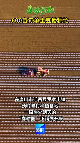 唐山迁西600亩订单土豆播种忙