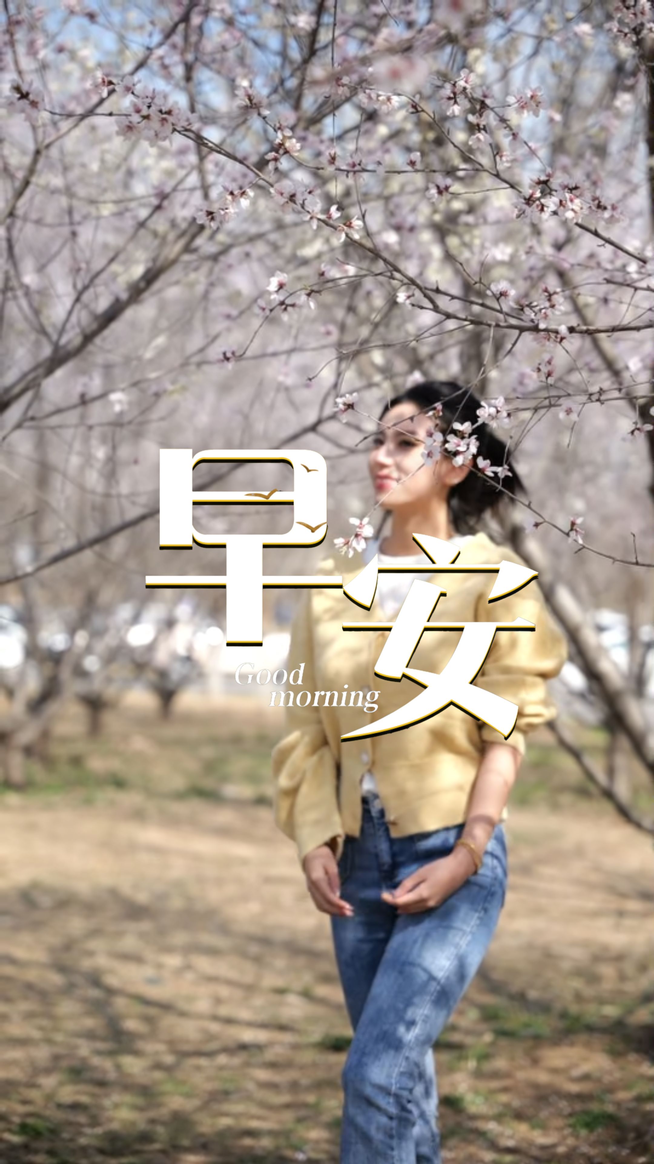 2026年3月26日，早安！春天来了，老槐树又发新芽。课文里那条蜿蜒的地道，藏着当年乡亲们的智慧——“敌人来了，我们就钻到地道里去，让他们扑个空。”“任敌人怎么搜，也找不着入口。”正是凭着这样的韧劲，先辈们守住了家园。跟着课本游河北，愿你也如此沉着、机智，化险为夷！