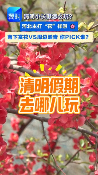 清明小长假 南下赏花VS周边踏青 你PICK谁？#清明#小长假#赏花游