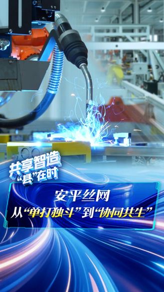 共享智造“县”在时丨安平丝网 从“单打独斗”到“协同共生”