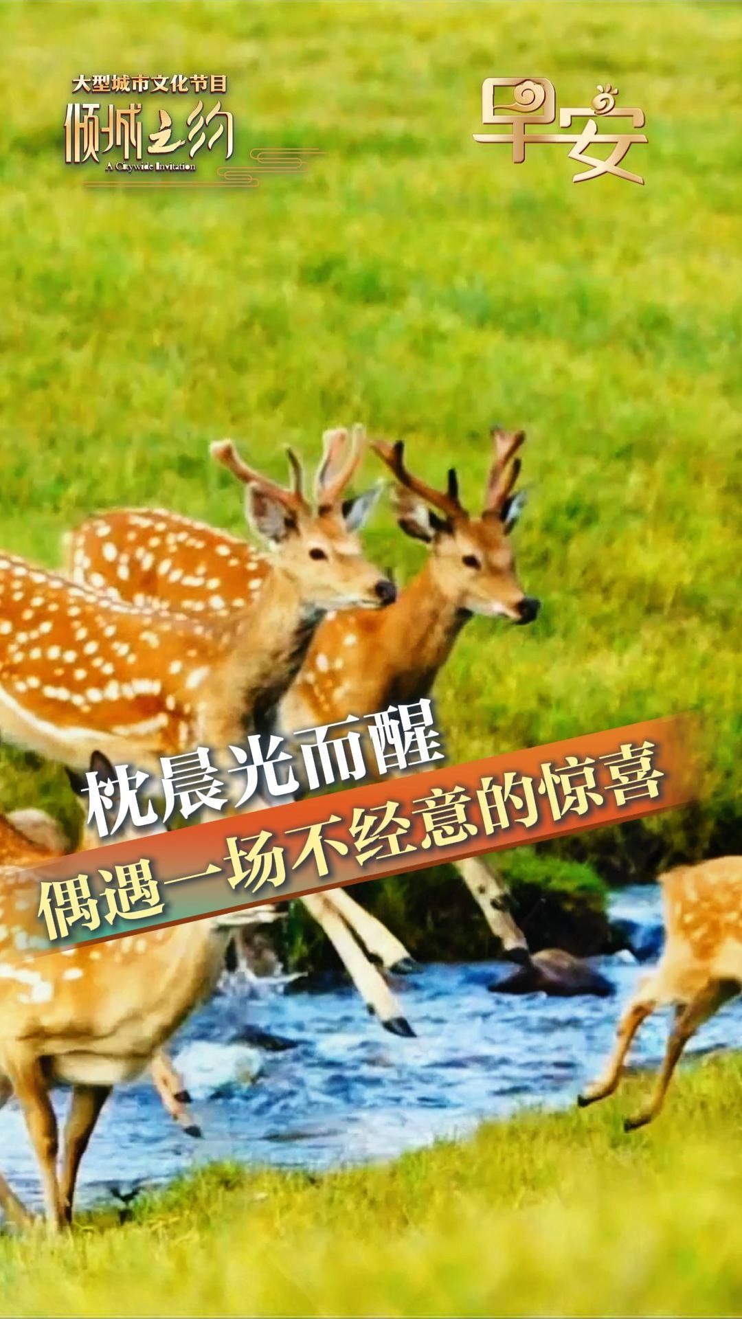 早安丨山河温柔，春日明朗