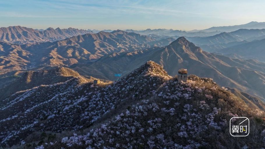 唐山迁西：榆木岭长城春景如画