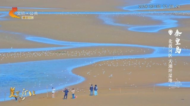 美丽河北慢直播丨2026.03.30 正午