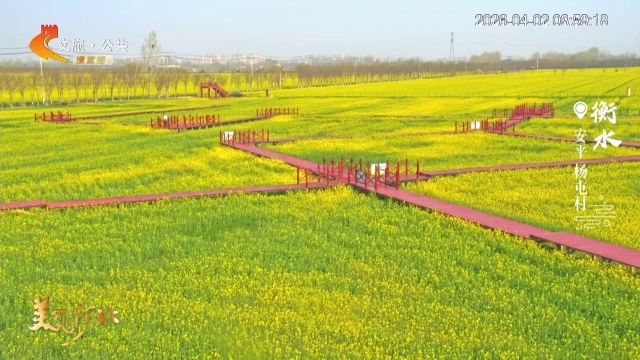 美丽河北慢直播丨2026.04.02 清晨