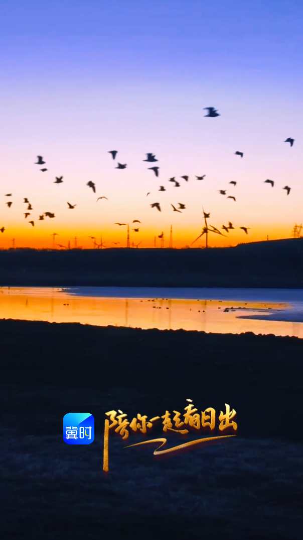 陪你一起看日出丨张家口 康巴诺尔湿地 2026.04.02