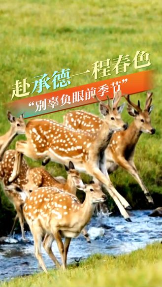 赴承德一程春色 “别辜负眼前季节”