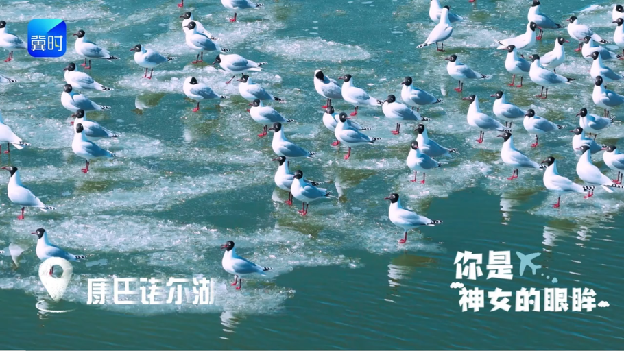 康巴诺尔湖 神女的眼眸