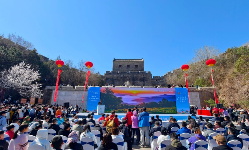 山承百杏·金山独秀！承德市2026春季旅游启动仪式暨金山岭长城第十四届杏花节盛大启幕
