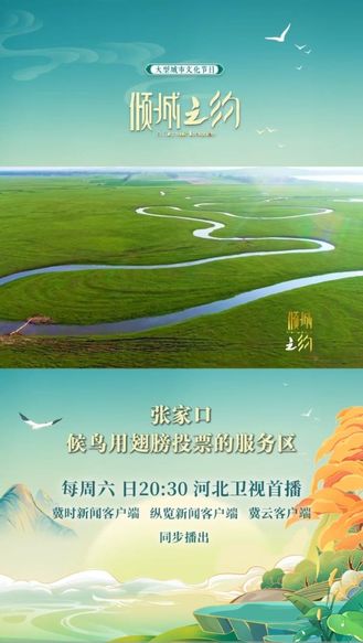 倾城之约｜张家口——候鸟用翅膀投票的服务区