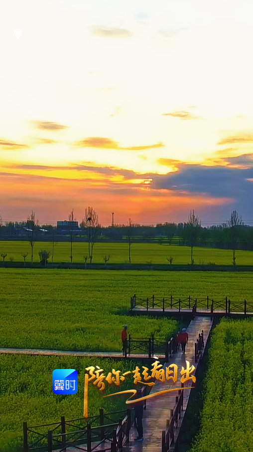陪你一起看日出丨衡水安平 杨屯村 油菜花 2026.04.07