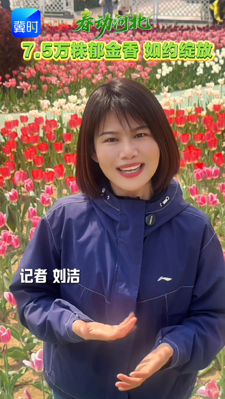 春动河北｜保定植物园：7.5万株郁金香 如约绽放