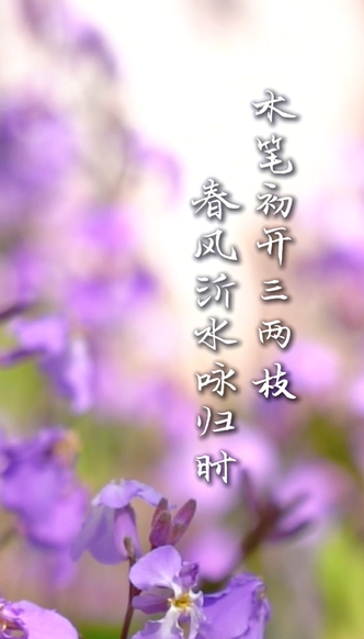 秦皇岛：风携诗韵入春来