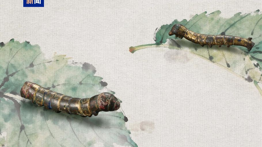 2000多年前的蚕宝宝 见证古定州丝织业发展