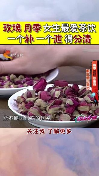 玫瑰 月季 女生最爱茶饮 一个补 一个泄 得分清