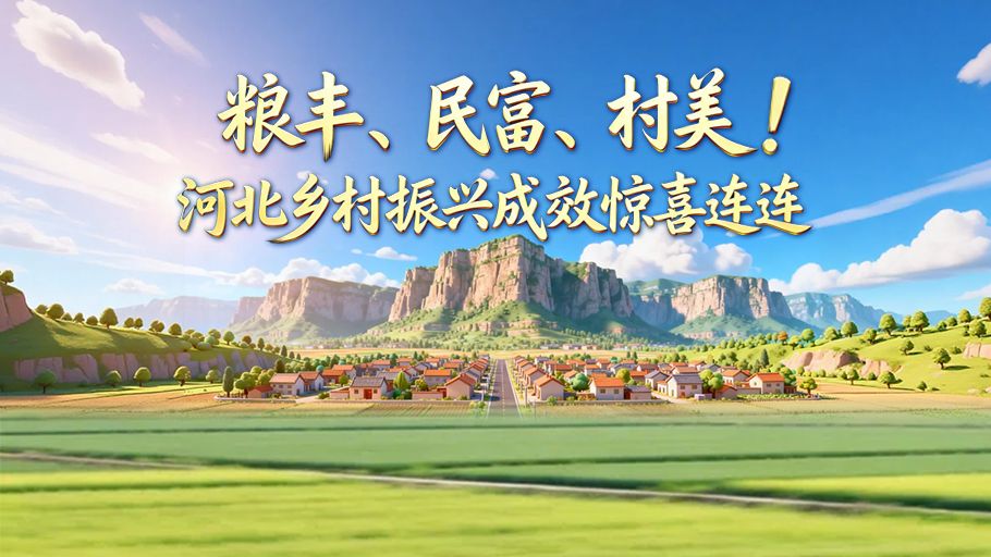 图说发布会 | 粮丰、民富、村美！河北乡村振兴成效惊喜连连
