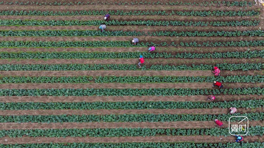 唐山海港：春回大地农事忙