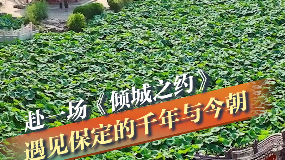 赴一场《倾城之约》遇见保定的千年与今朝丨冀时新闻主播说 #美丽河北倾城之约 #倾城之约邂逅保定