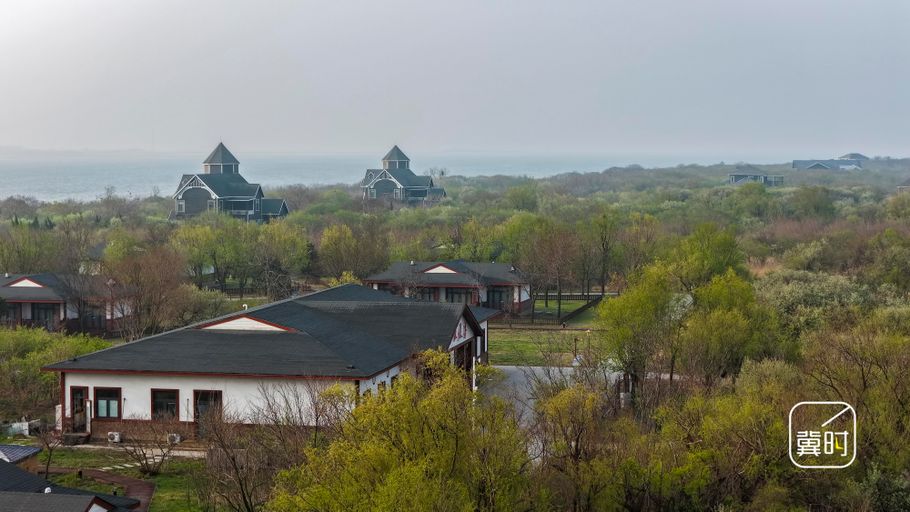 唐山：春到菩提岛