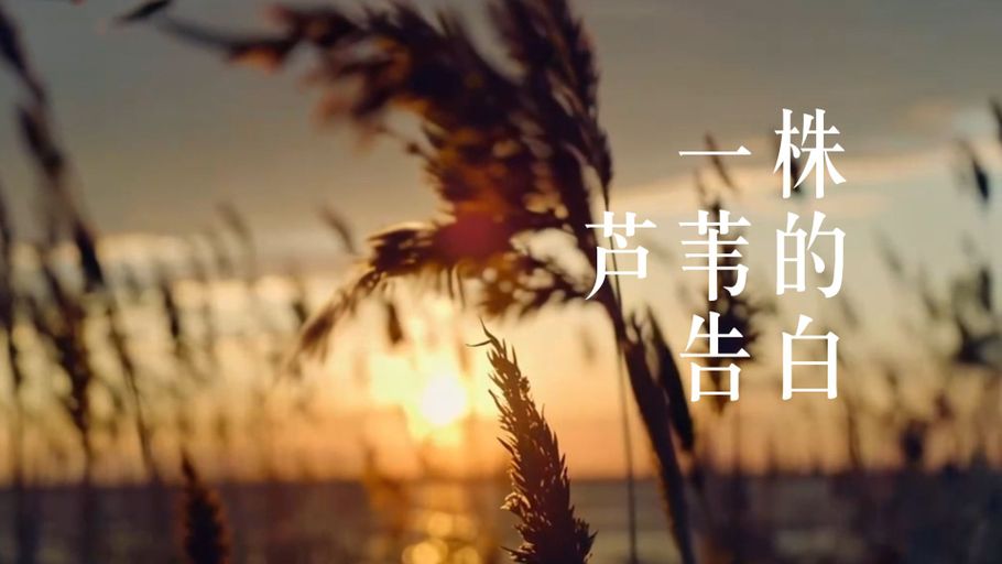 全国第二，河北台五部上榜！国家广电总局2025年度优秀网络视听作品推选活动结果揭晓