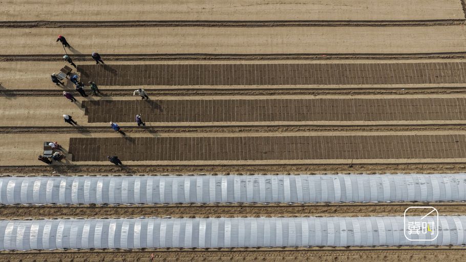 唐山海港：谷雨将至水稻育秧忙