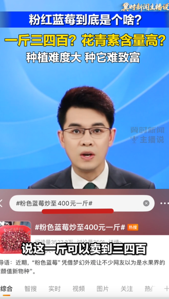 粉红蓝莓到底是个啥？