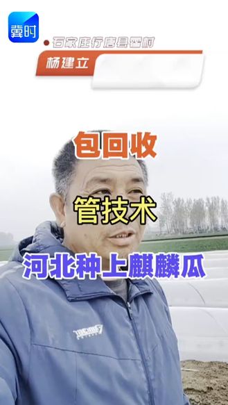 【专家在线】麒麟西瓜缓苗有讲究！通风看天，水肥别着急