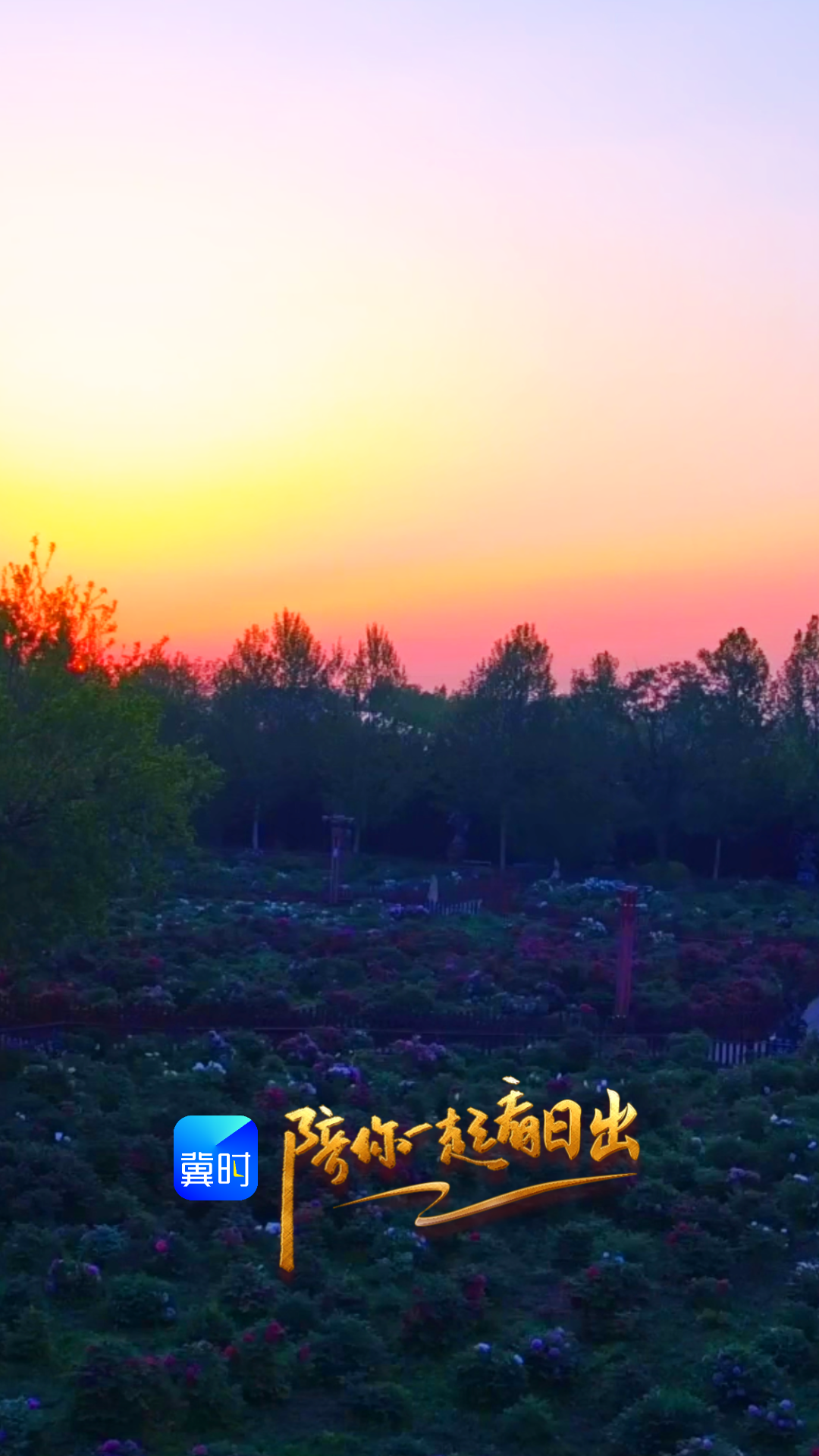 陪你一起看日出丨邢台 柏乡 汉牡丹园 2026.04.22