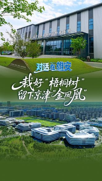 对话 在雄安丨栽好“梧桐树” 留下京津“金凤凰”