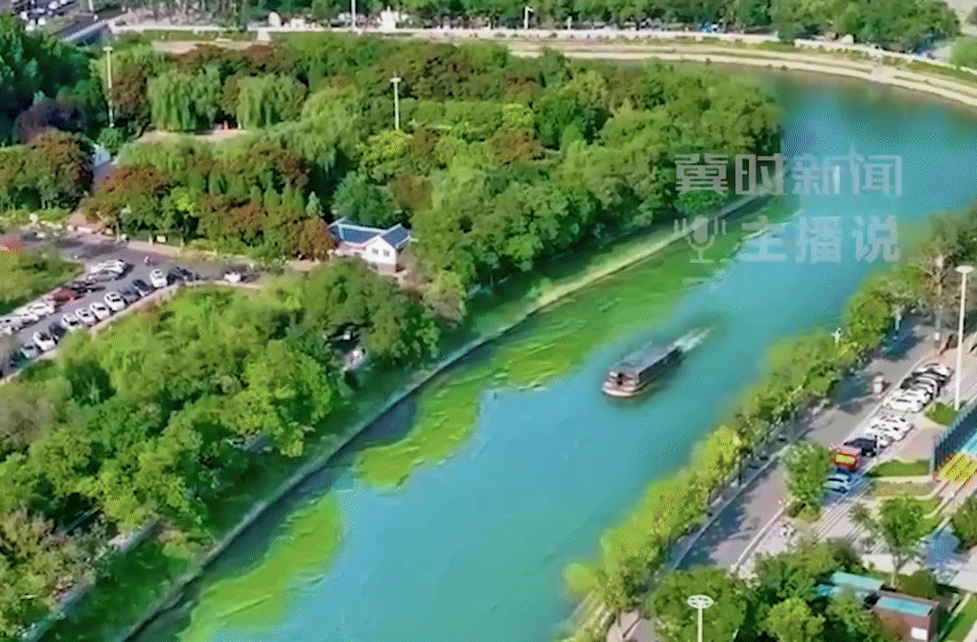 赴一场《倾城之约》 沧州：一座河海相拥的宝藏城市丨冀时新闻主播说  #美丽河北倾城之约 #倾城之约邂逅沧州
