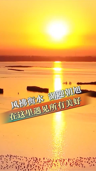 早安丨清晨的阳光总能治愈心底的迷茫