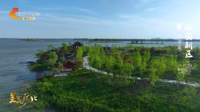 美丽河北慢直播丨2026.04.26 清晨