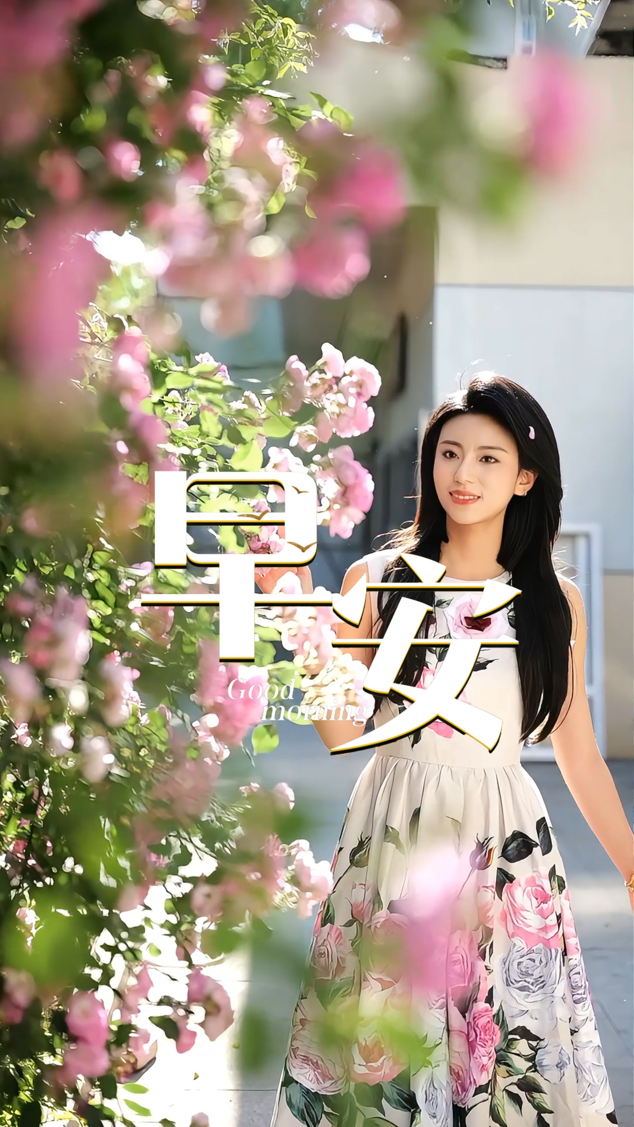 2026年5月7日，早安！时序入夏，万物向阳。新的一天已然开场。不必焦虑过往，不必畏惧前路，保持热爱，踏实前行。在平凡的日子里深耕自己，奔赴属于自己的万丈光芒。