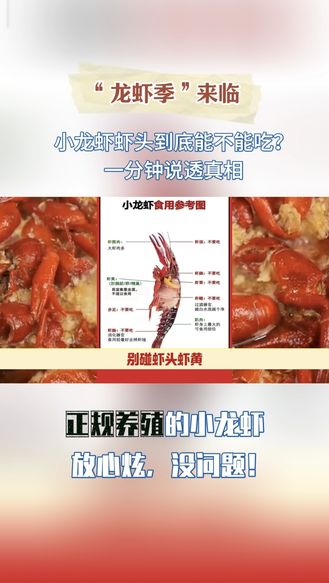 紧急提醒！小龙虾你真的会吃吗？要美味更要健康，快来看小龙虾食用指南#小龙虾 #吃虾季 #健康饮食 #食品安全 #小龙虾处理教程