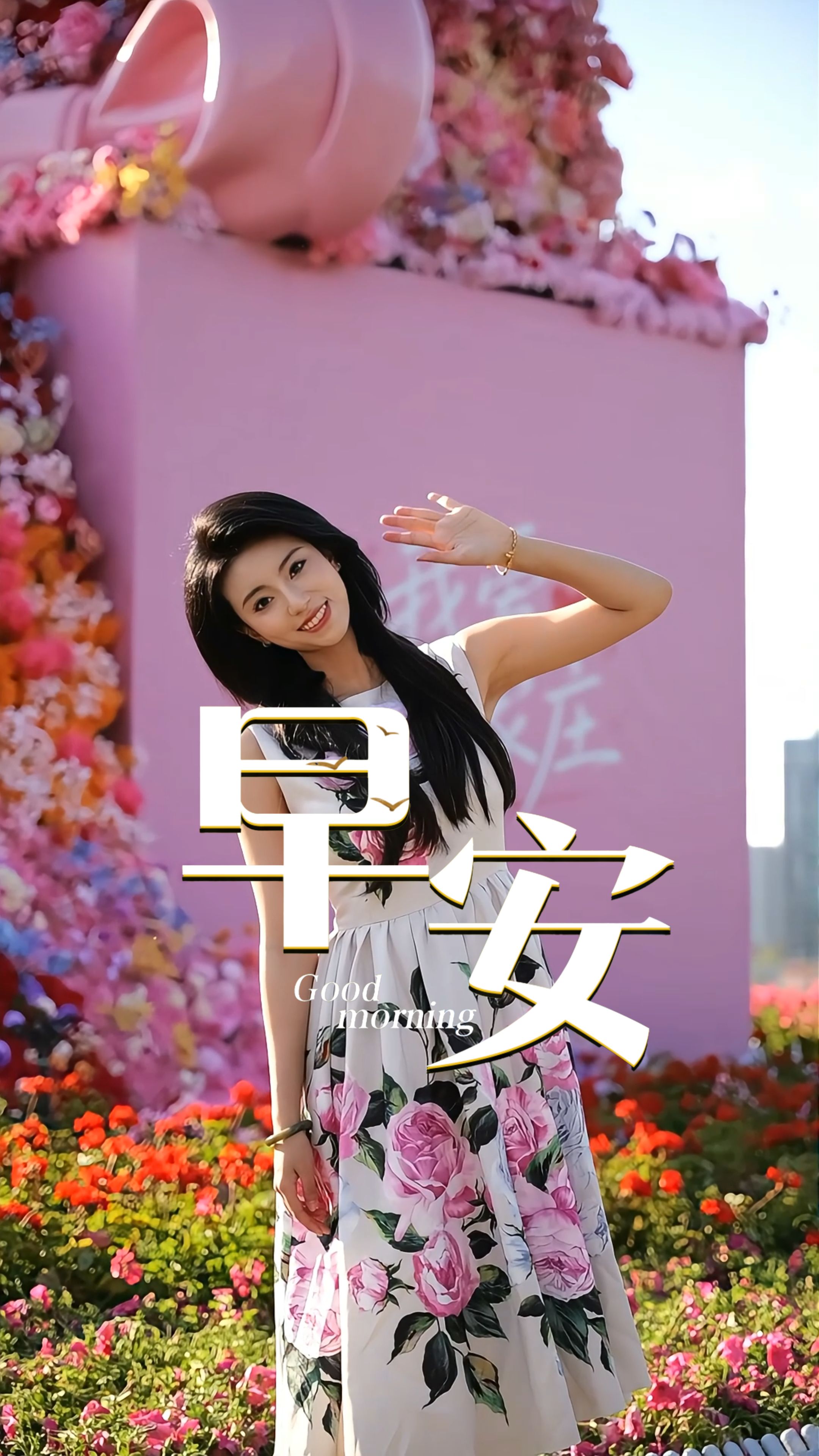 2026年5月13日，早安！初夏微风正好，放下无谓的焦虑，接纳生活的平静，心怀热爱，步履从容。愿我们迎着晨光，每一天都遇见更好的自己！