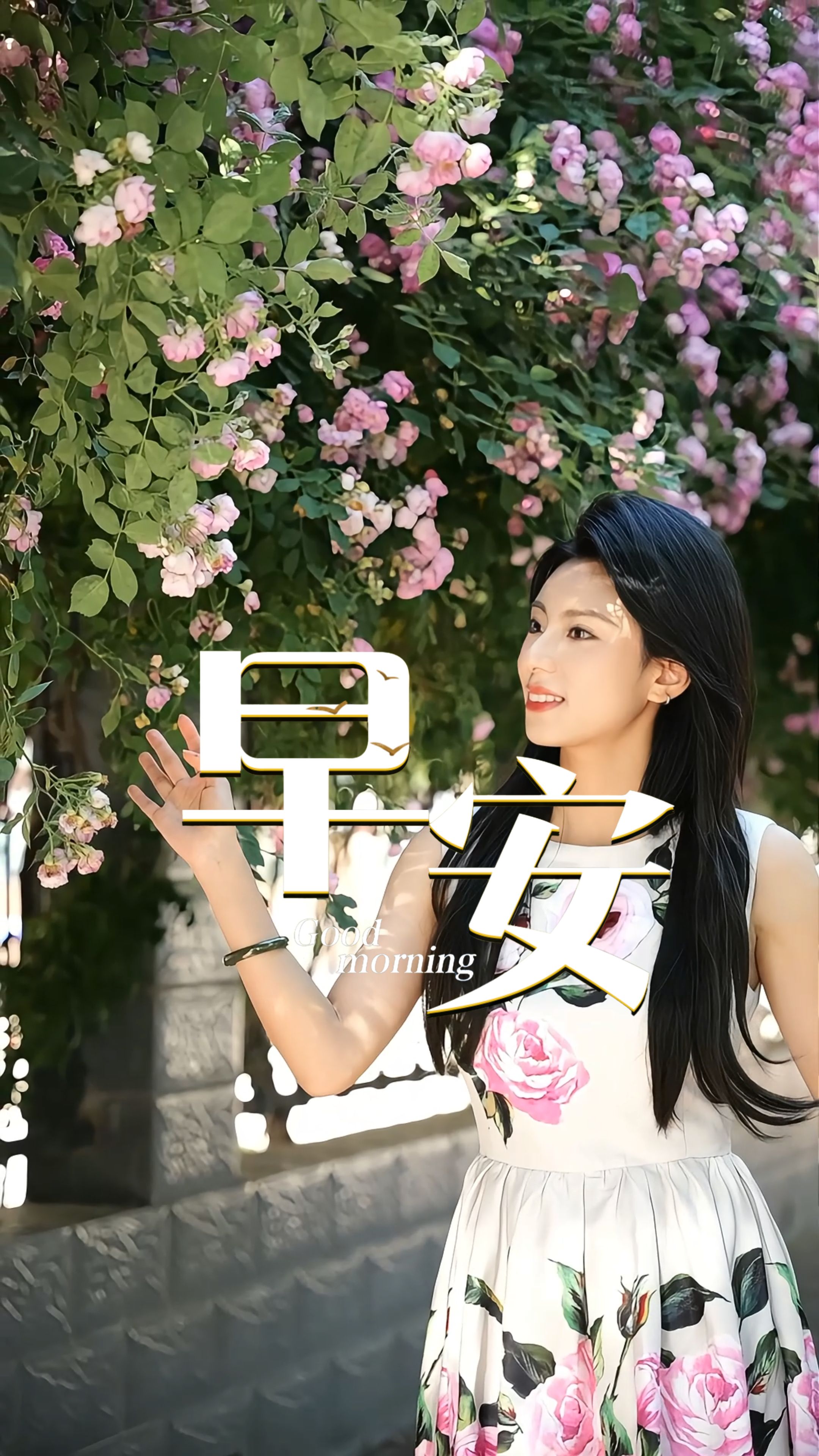 2026年5月14日，早安！初夏清风拂面，时光温柔向暖。告别旧日风雨，人间满目晴朗与安然。愿我们揣着温柔与热爱，看淡世事纷扰，不负自己，一路向阳！