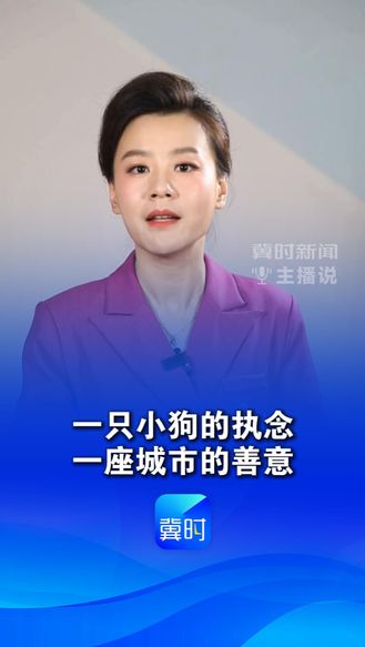 一只小狗的执念 一座城市的善意，因为金宝，看见了石家庄的温度