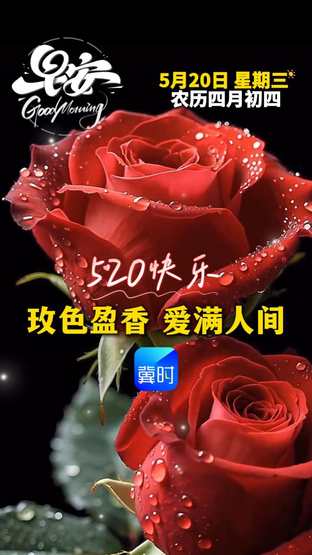 玫色盈香，爱满人间。今天是5月20号，愿您和家人朝夕皆甜，四季皆安！#早安