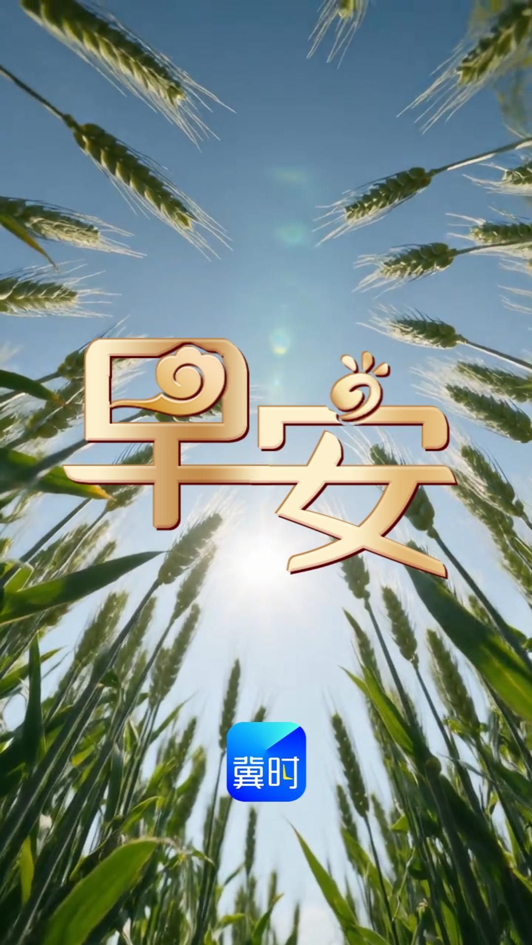 小满迎晨光，浅夏意渐浓。心存温柔，凡事知足，便是生活最好的状态！#早安