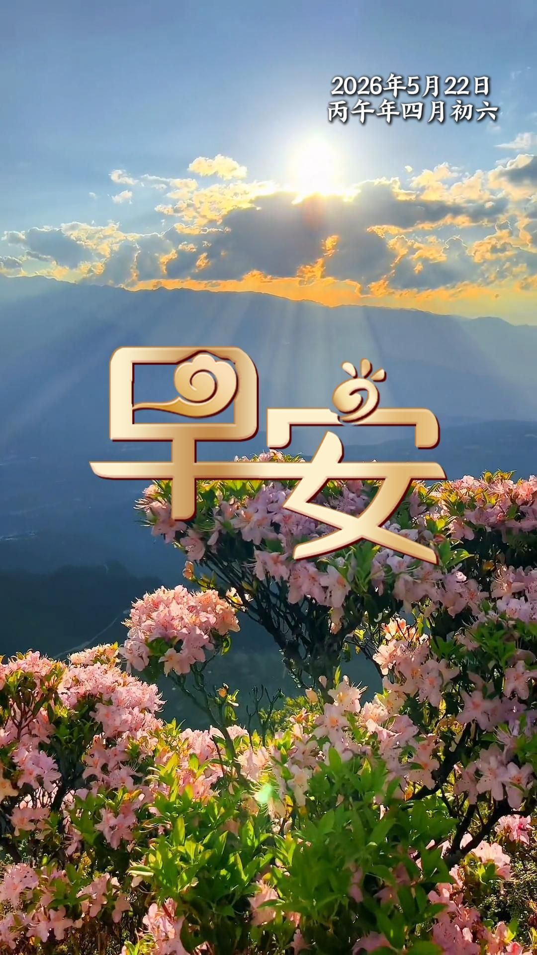 春归又是辜杯酒，老去还应惜岁时，莫负流年当下景，珍惜今日好时光。早安