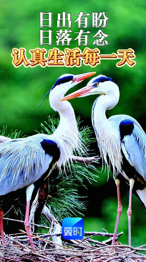 早安丨叫醒沉睡的美好，保持热爱，好好生活