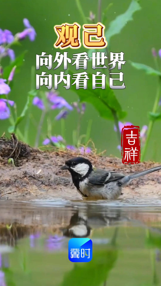 早安丨向外看世界，向内看自己，在喧嚣与寂静之间，寻找生命的锚点
